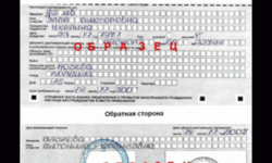 Образец заполнения бланка регистрации иностранного гражданина
