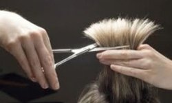 Как открыть парикмахерскую с нуля пошагово